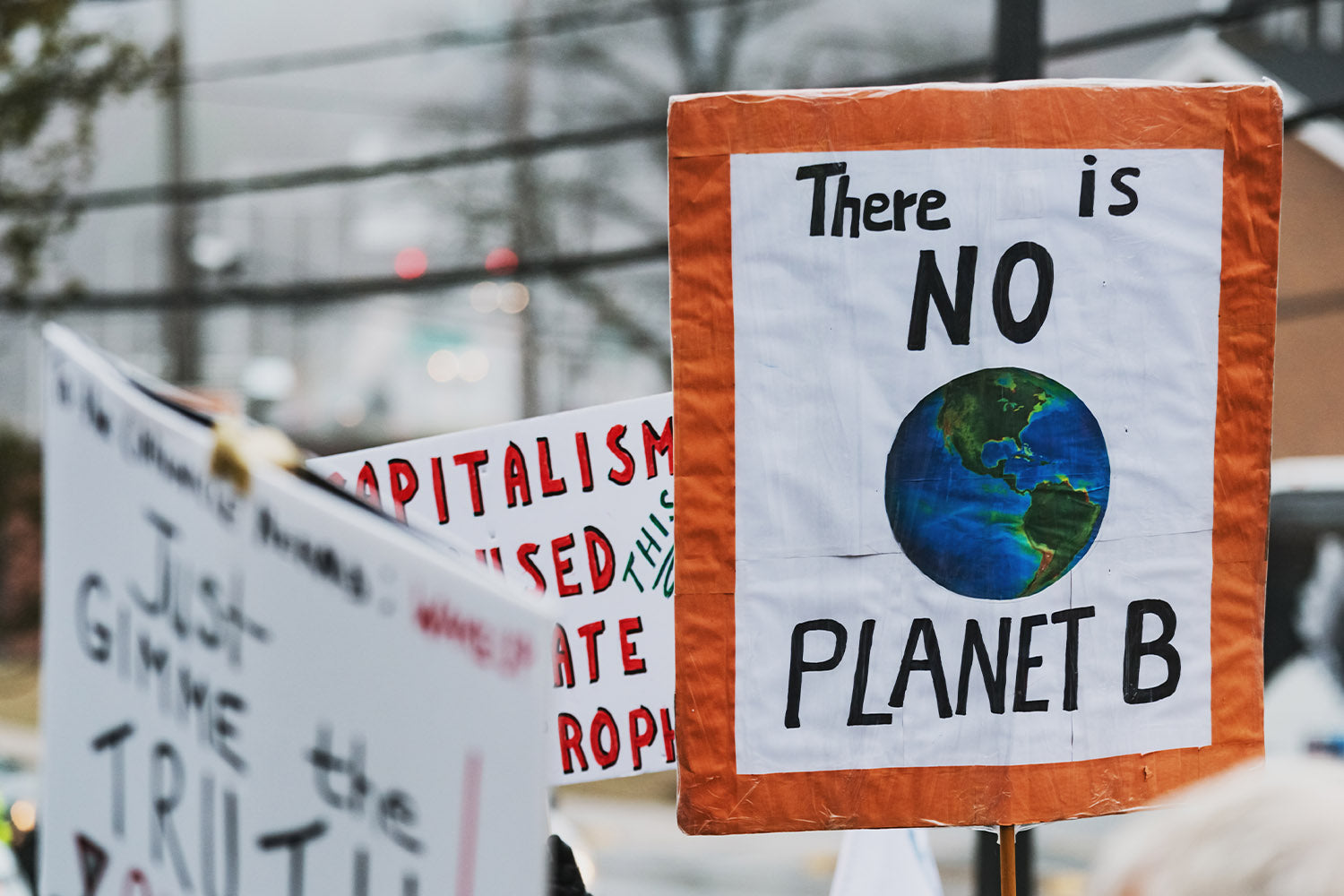 Wash away Green Washing.