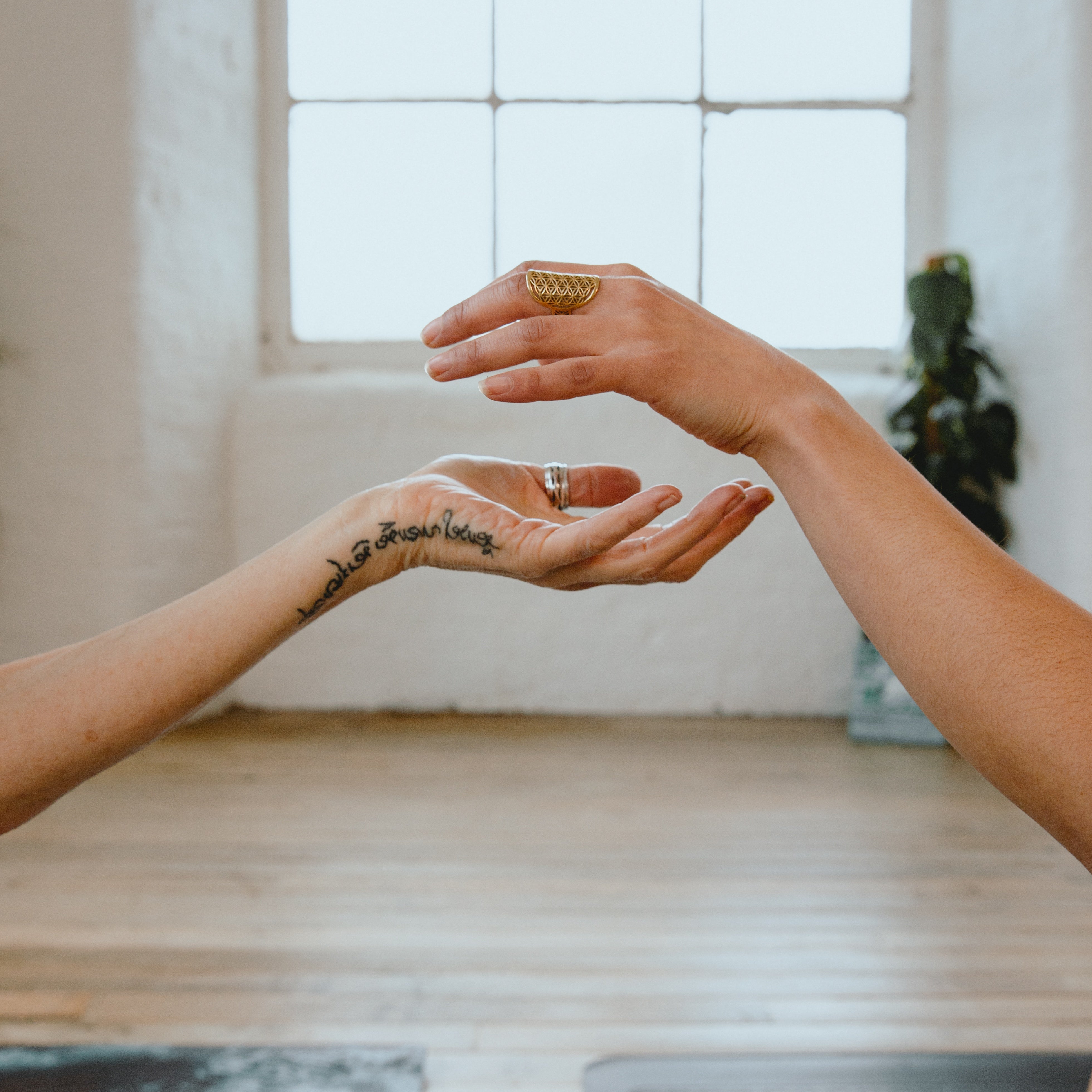 sustainable wellness brands