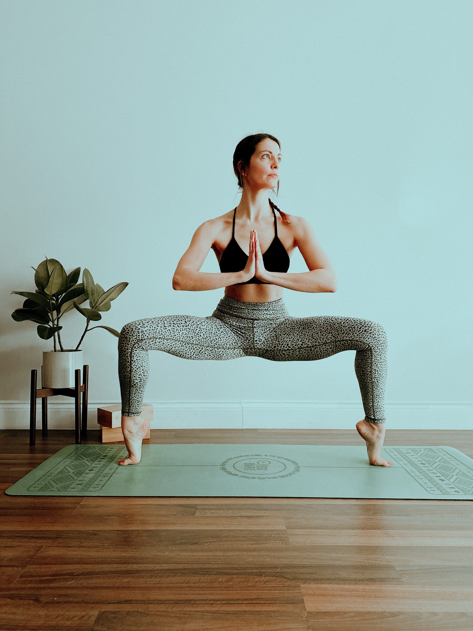 Introduction to Yoga
