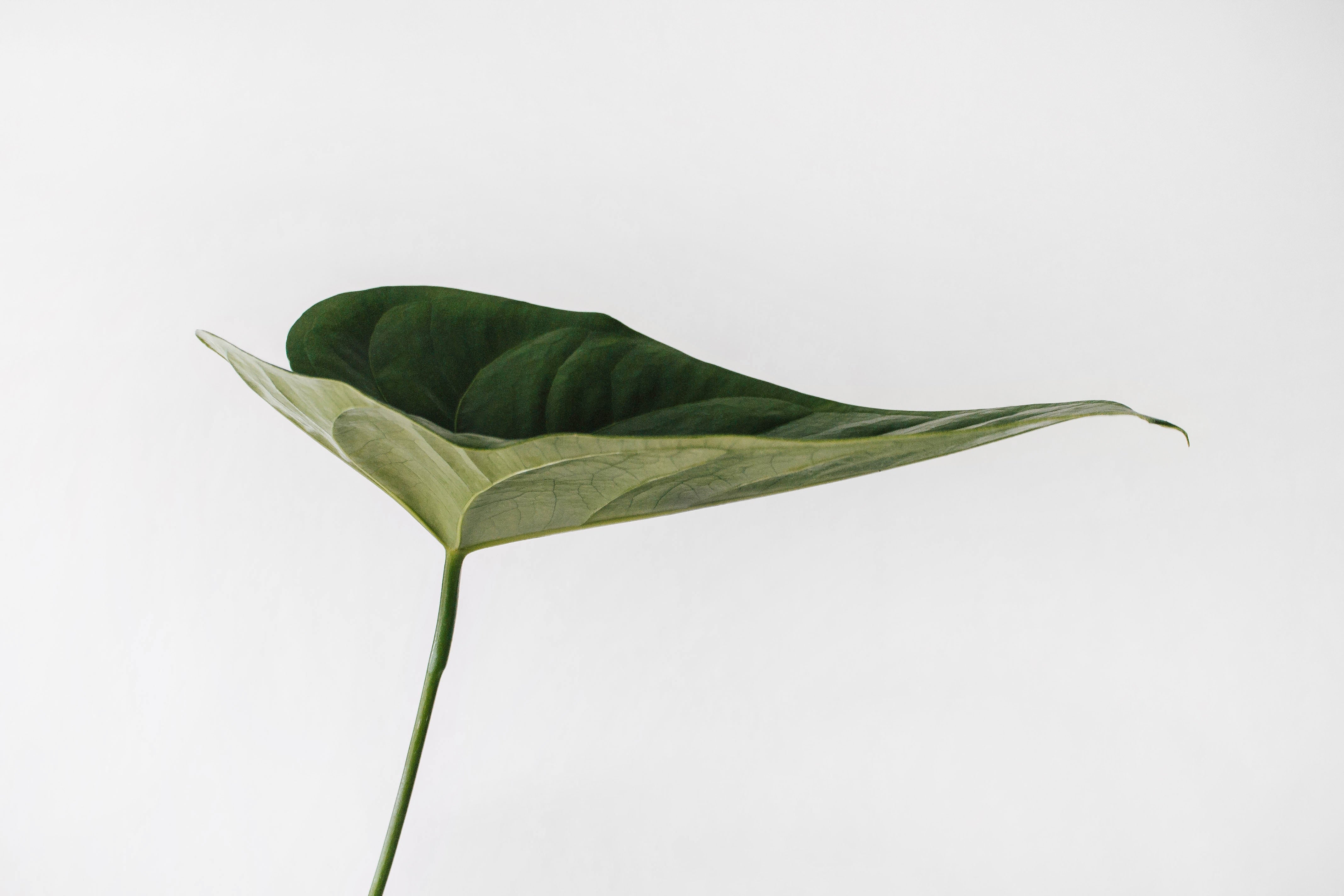 Nurturing Nature: Our Sustainable Journey Continues