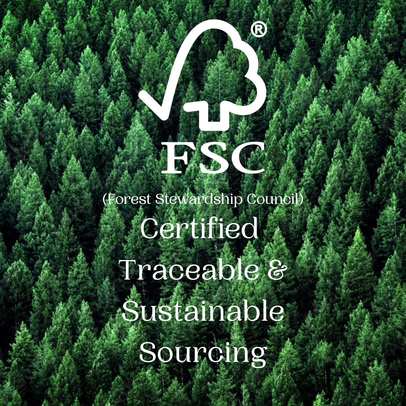 The Original Paws Yoga Mat - Wild Forest